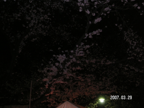 s_PICT0006.jpg